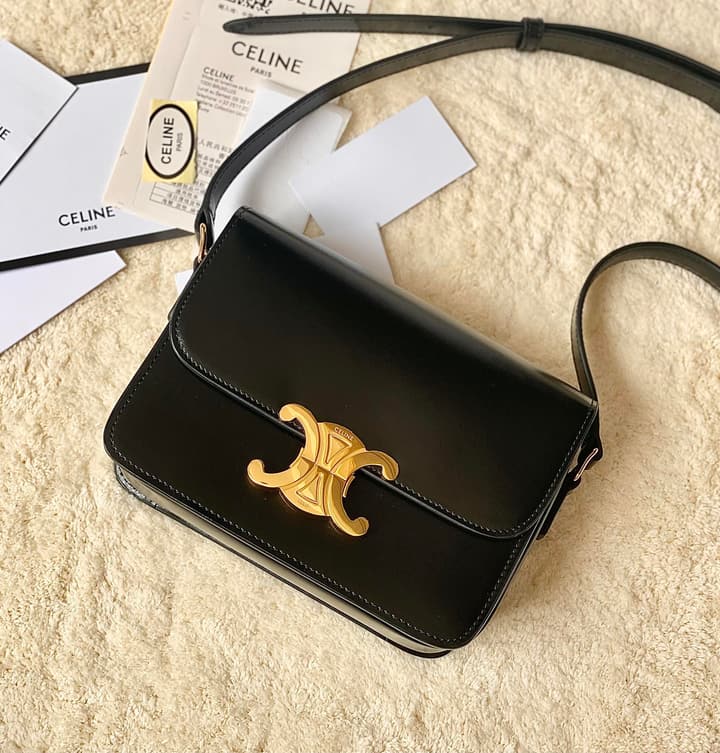 Celine Triomphe Box Calfskin Bag in Burnt Orange