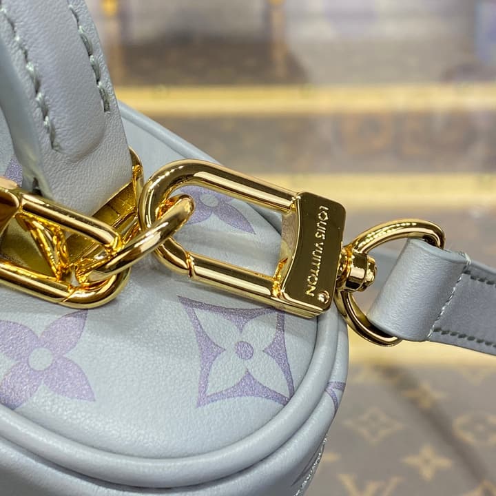 Louis Vuitton Monogram Vanity Chain Pouch – FW24