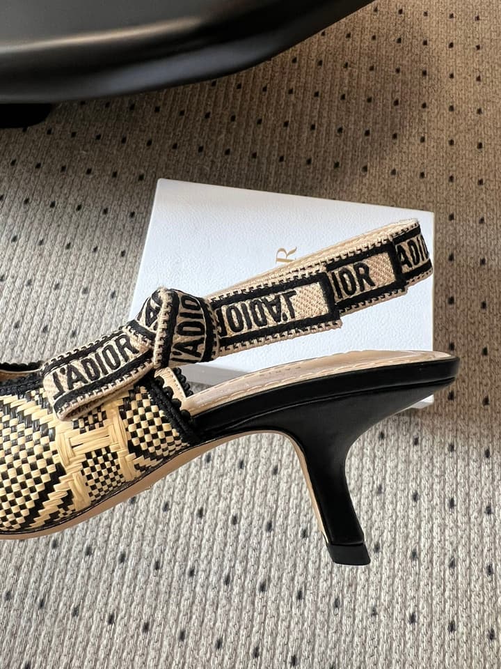 Dior Classic Multi-Color Embroidered Pumps in Black Silver Sparkle
