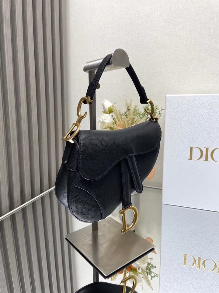 Dior Saddle Bag in Beige