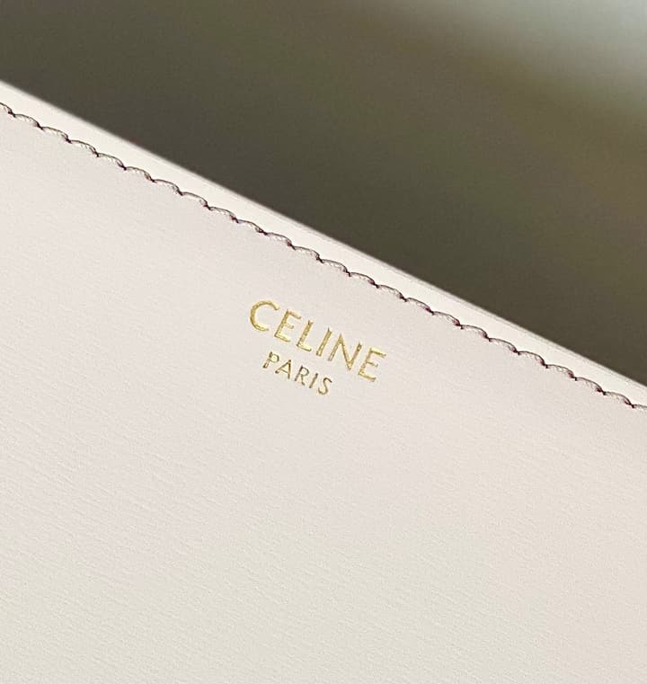 Celine Triomphe Box Calfskin Bag in Burnt Orange