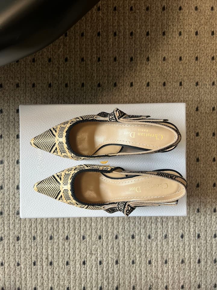 Dior Classic Multi-Color Embroidered Pumps in Black Silver Sparkle