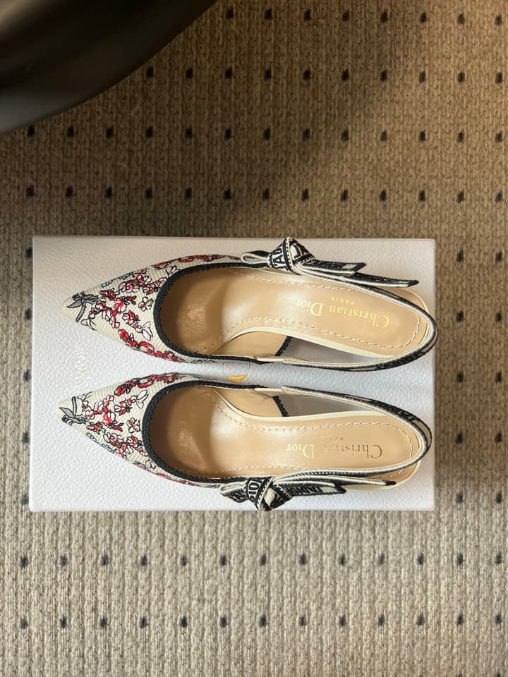 Dior Classic Multi-Color Embroidered Pumps in Black Silver Sparkle