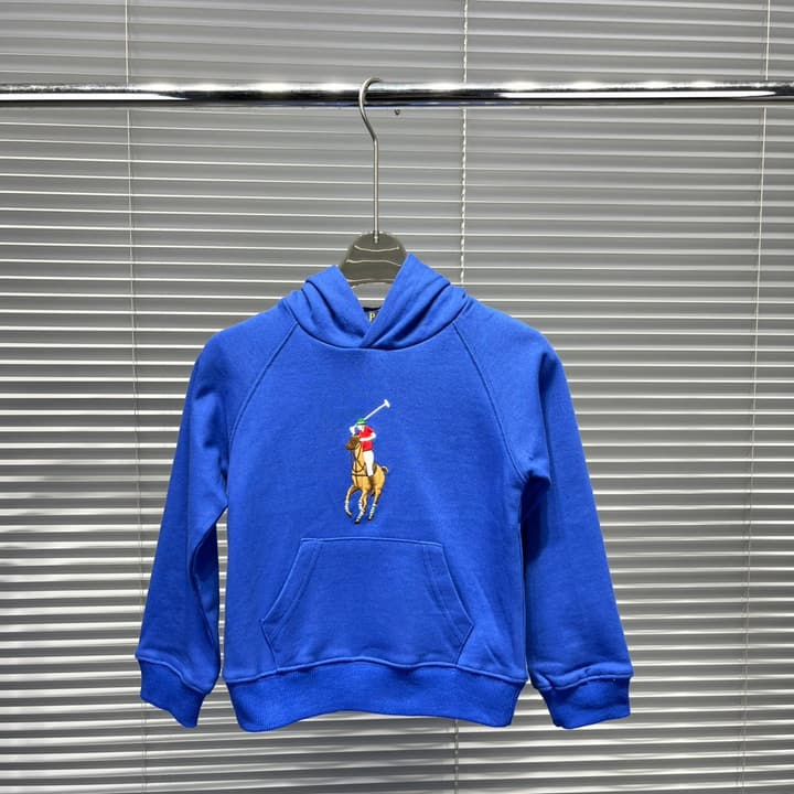 Ralph Lauren Embroidered Pony Terry Hooded Sweatshirt – Kids Collection in Bright Blue