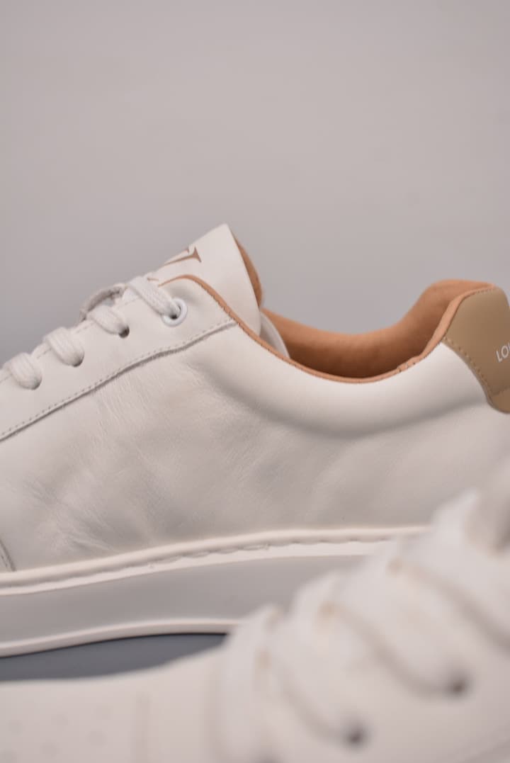 Louis Vuitton Trainer Low Sneakers