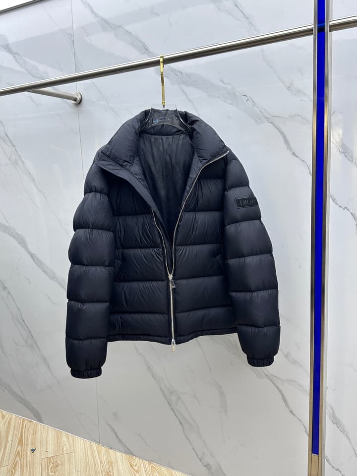 Dior Stand Collar Goose Down Puffer Jacket – 25FW in Classic Black Puffer