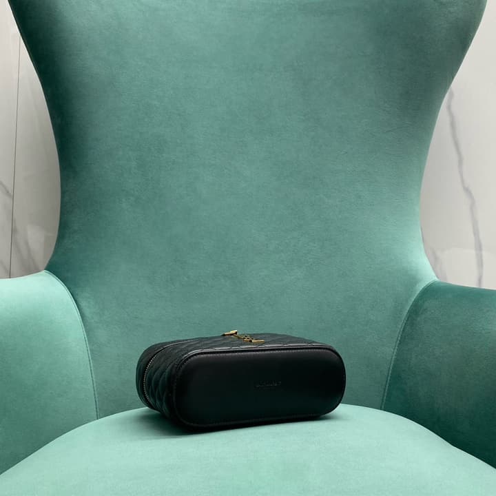Saint Laurent Gaby Mini Vanity Bag
