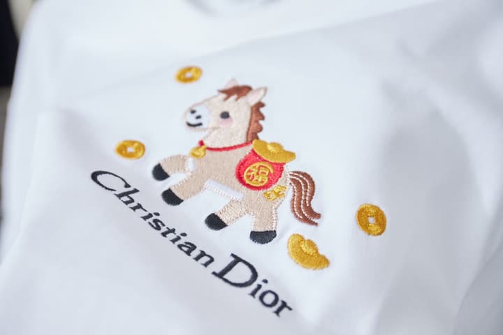 Dior Year of the Horse Pony Logo Embroidered T-Shirt – 26SS Early Spring Collection in Black