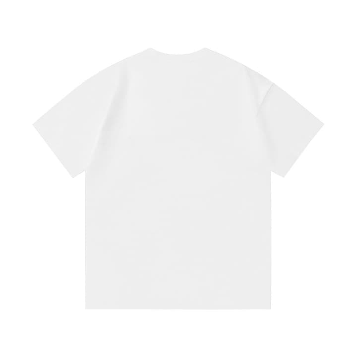 Dior x Stone Island Destroyed Logo T-Shirt – 2025 in White