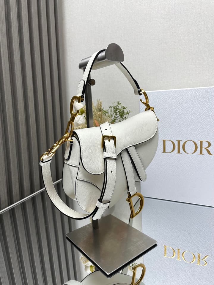Dior Saddle Bag in Beige