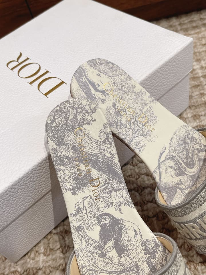 Dior Oblique Embroidered Mules