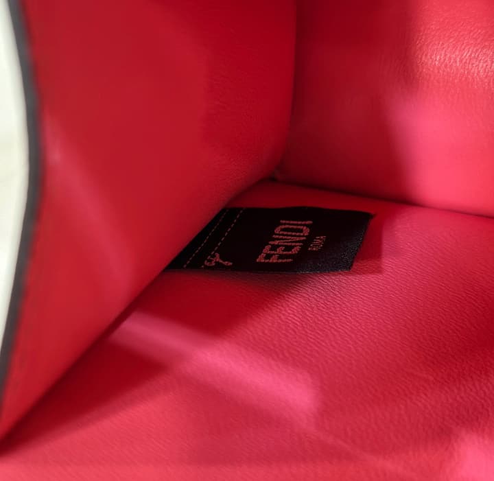 Fendi Peekaboo I See You Petite Handbag in Watermelon Pink Leather