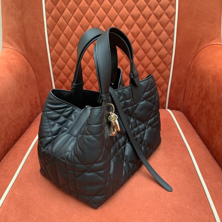 Dior Cest Dior Bucket Bag – 2023 Autumn Collection