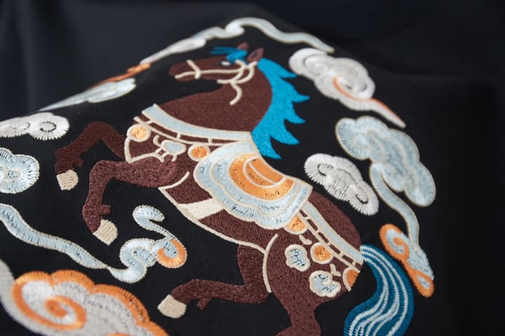 Dior Cloud Warhorse Logo Embroidered T-Shirt – Early Spring Year of the Horse Limited Edition – 26SS in Black