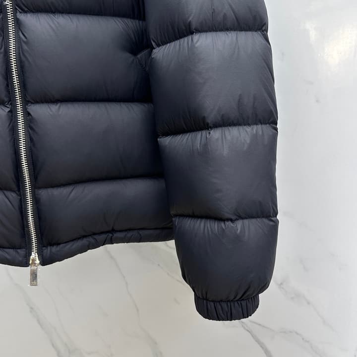 Dior Stand Collar Goose Down Puffer Jacket – 25FW in Classic Black Puffer