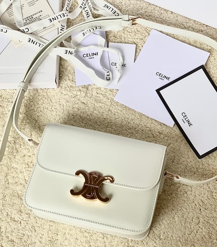 Celine Triomphe Box Calfskin Bag in Burnt Orange