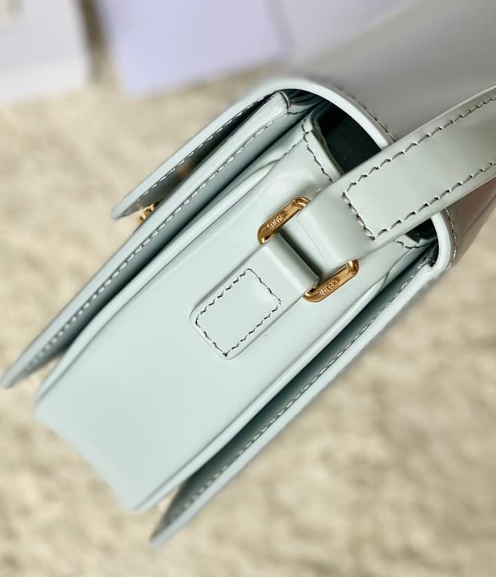 Celine Triomphe Box Calfskin Bag in Burnt Orange