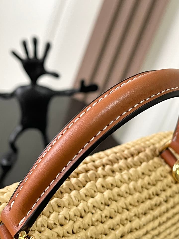 Celine Teen Nino Woven Triomphe Handbag