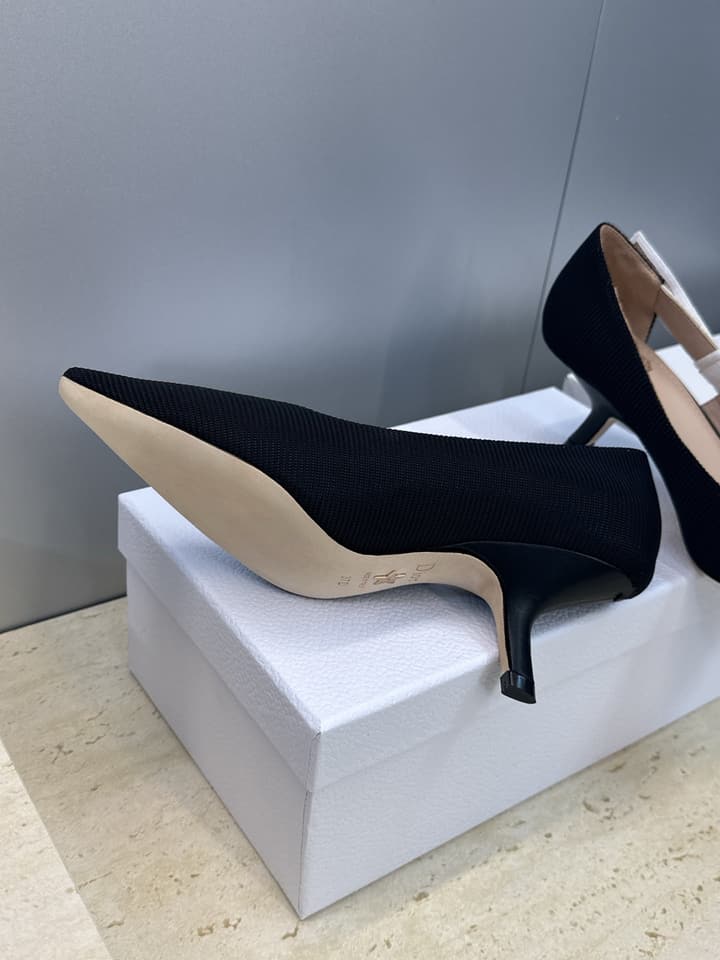 Dior J'Adior Webbing Bow Pumps – 2026 Early Spring Collection