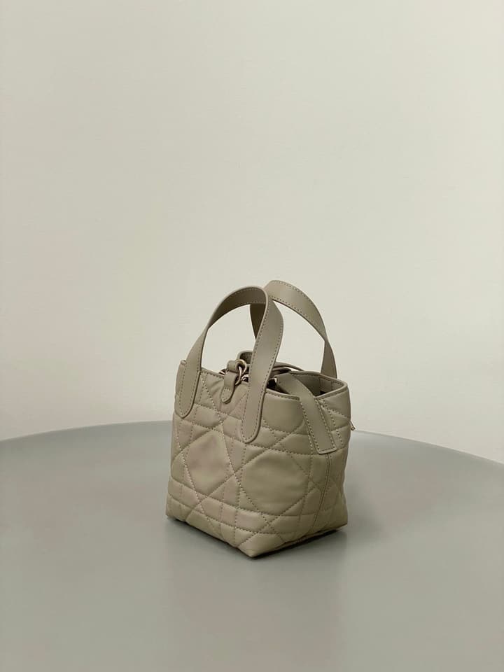 Dior Toujours Mini Vertical Bucket Bag