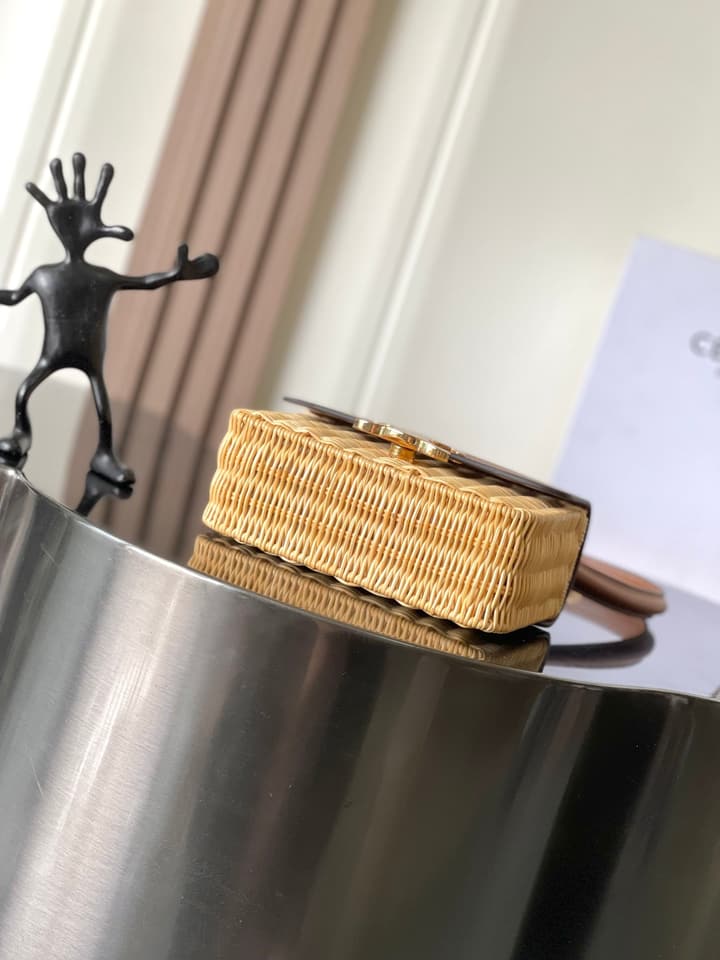 Celine Teen Garance Woven Handbag – 25 Collection