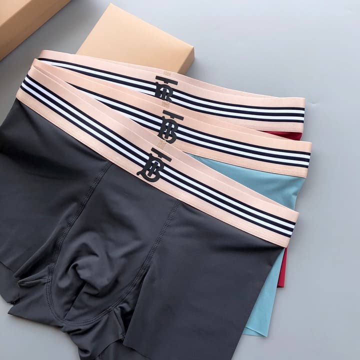 Burberry Classic TB Ice Silk Underwear Set