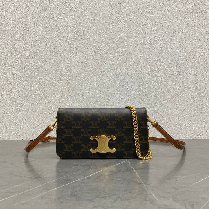 Celine Triomphe Canvas Flap Bag