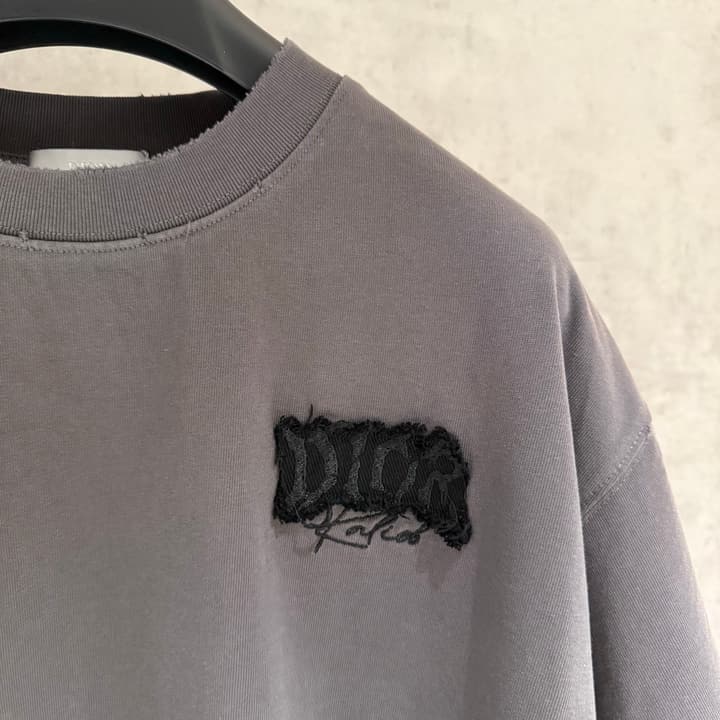 Dior Patch Embroidered Heavyweight T-Shirt in Grey