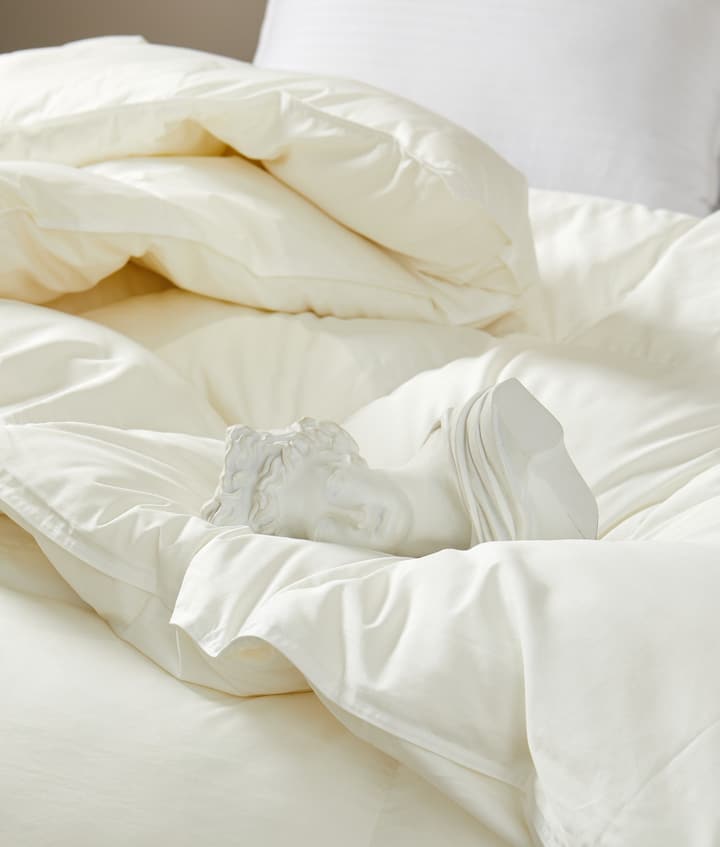 Armani Hotel Goose Down Duvet in Creamy White