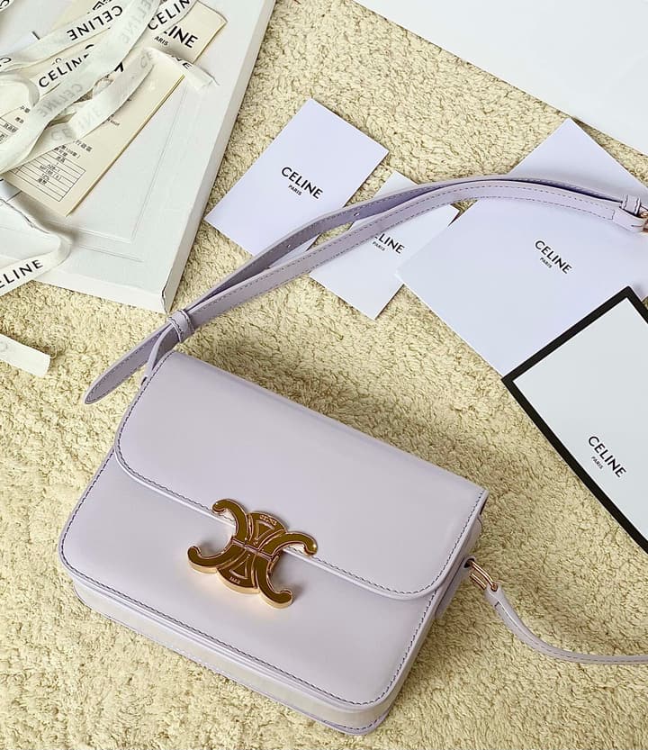 Celine Triomphe Box Calfskin Bag in Burnt Orange