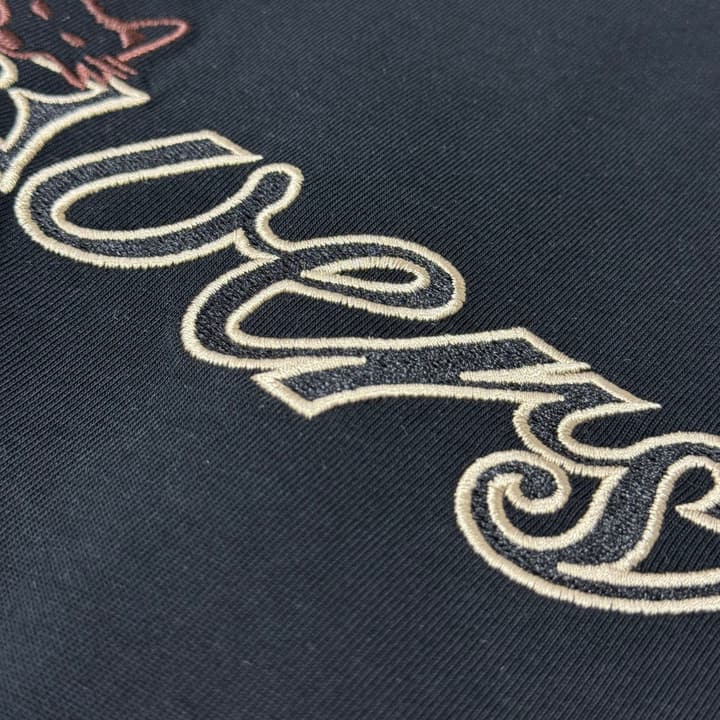 Louis Vuitton Embroidered Logo Oversized T-Shirt – Summer Collection – 26SS in Apricot Colorful LV Lovers