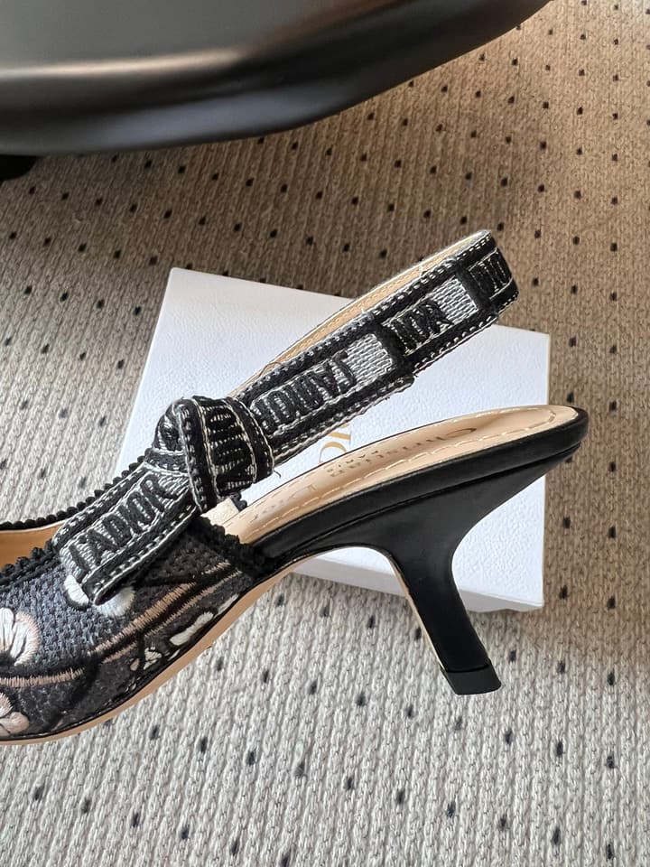 Dior Classic Multi-Color Embroidered Pumps in Black Silver Sparkle