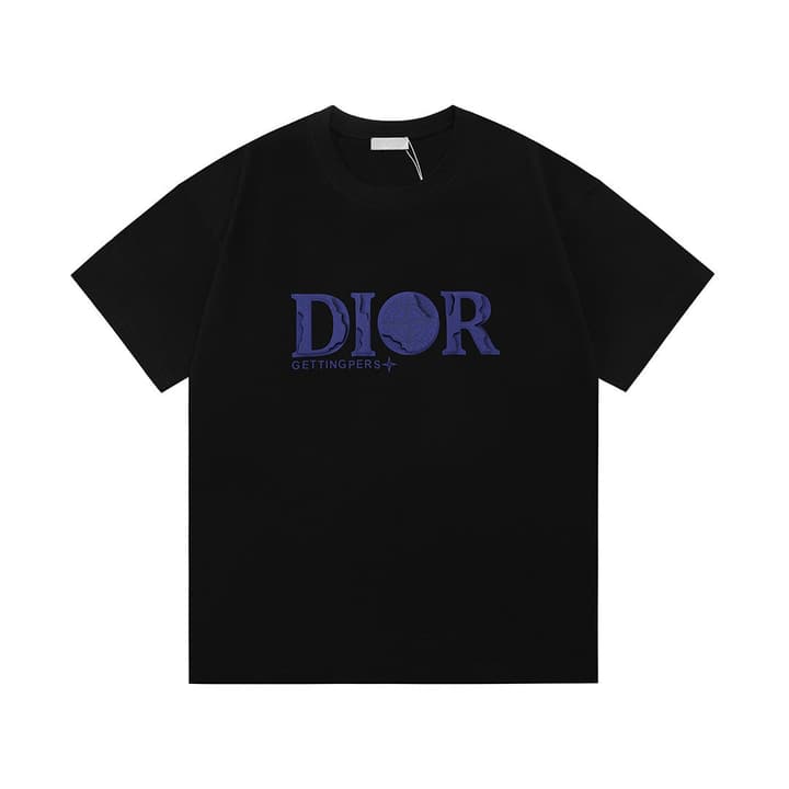 Dior x Stone Island Distressed Logo T-Shirt – 2025SS in Black