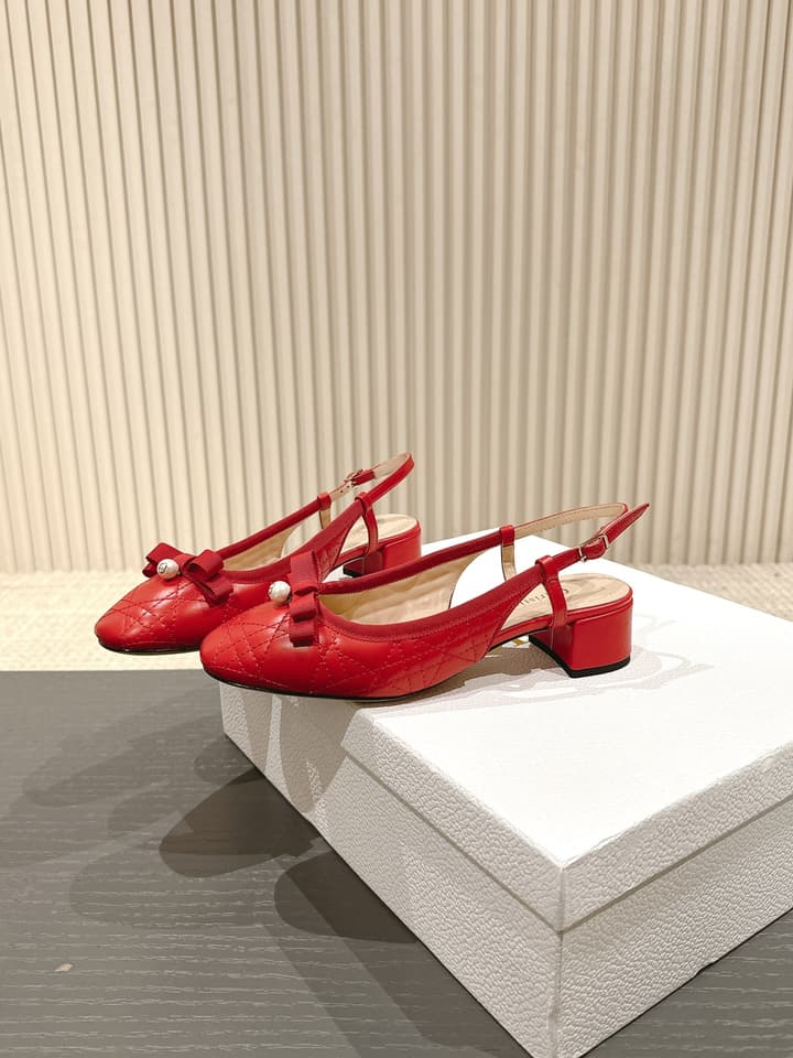 Dior D-Ramour Embroidered Cannage Ballet Flats – 2024 Spring/Summer Collection in Black Leather