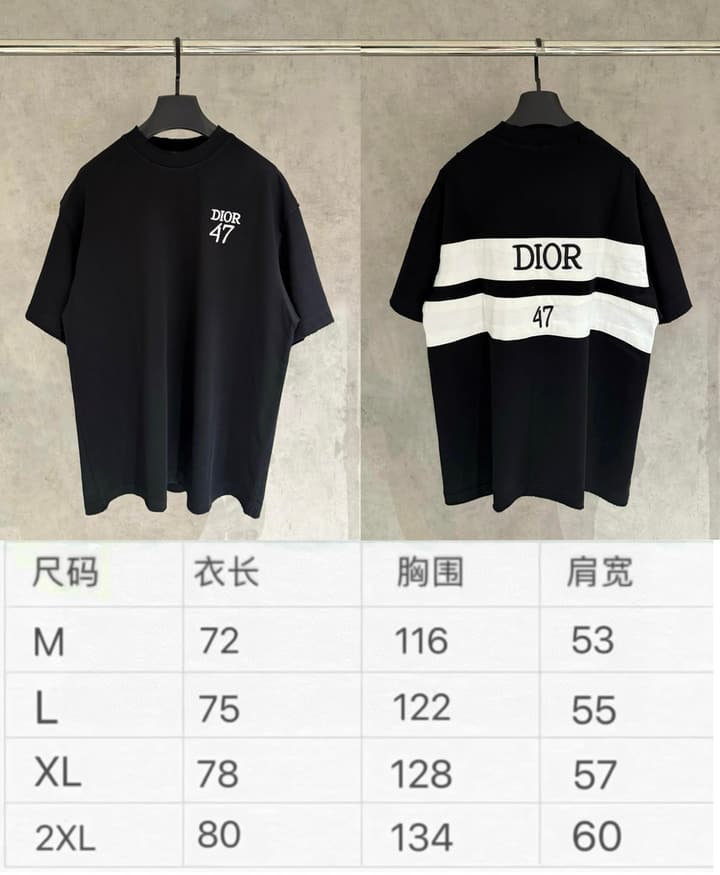 Dior Patch Embroidered Heavyweight T-Shirt in Black