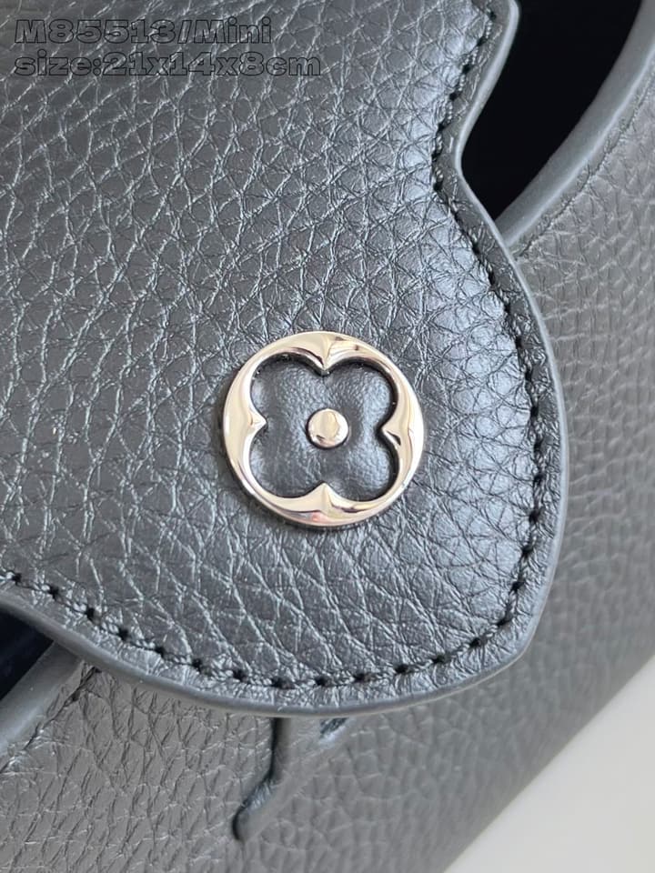 Louis Vuitton Capucines Mini Handbag