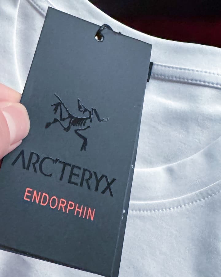Arc'teryx Logo Crewneck Mercerized Cotton T-Shirt in Lime Green, Royal Blue, And Black