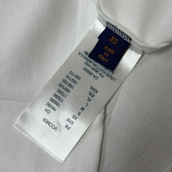 Louis Vuitton Embroidered Logo Oversized T-Shirt – Summer Collection – 26SS in Apricot Colorful LV Lovers