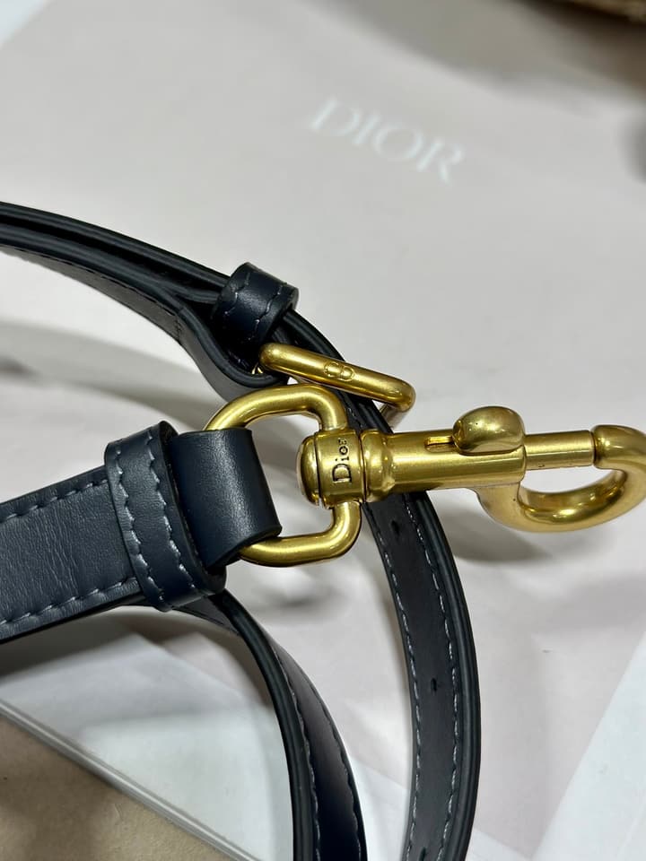 Dior Classic Saddle Bag