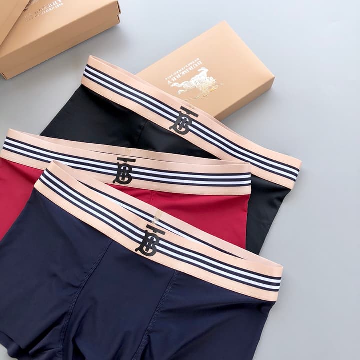 Burberry Classic TB Ice Silk Underwear Set