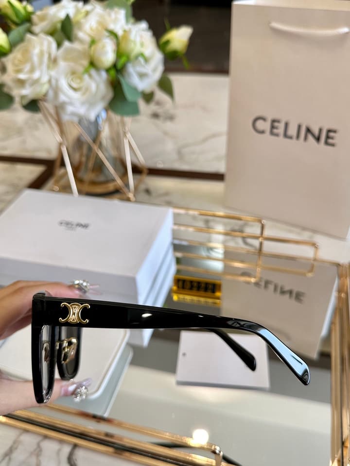 Celine Acetate Polarized Sunglasses