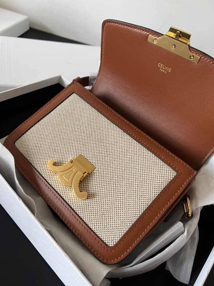 Celine Triomphe Teen Box Leopard Handbag