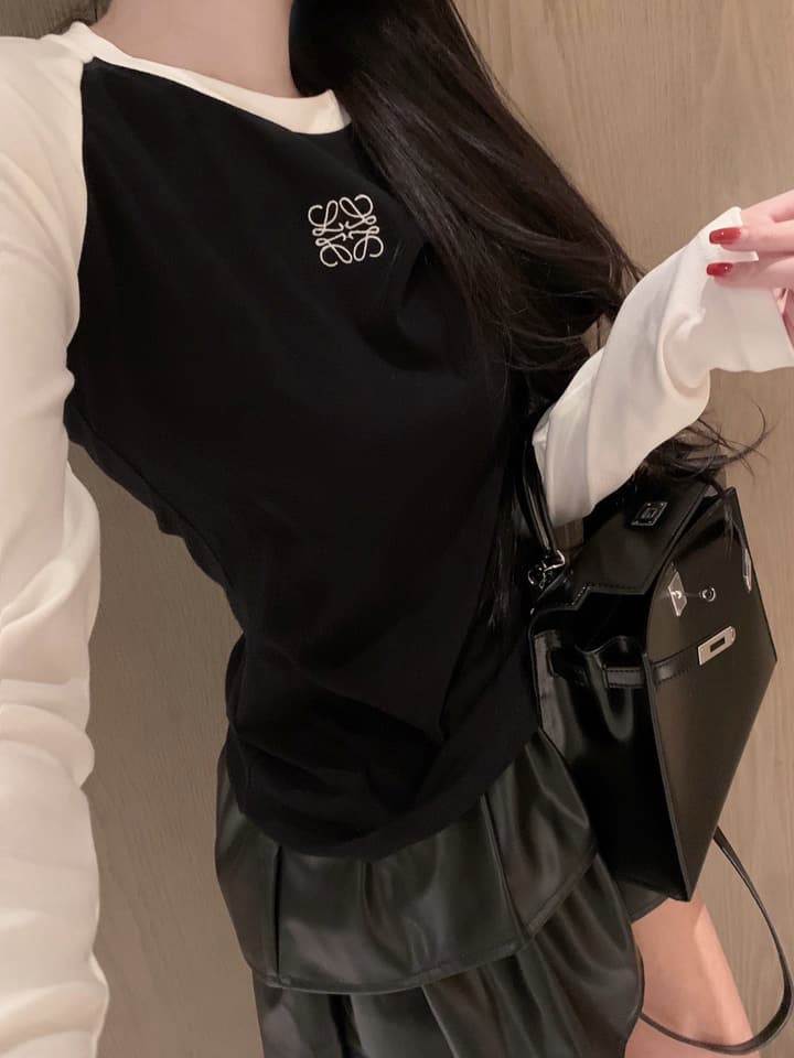 Loewe Classic Logo Embroidered Color-block Crewneck Sweatshirt in Black