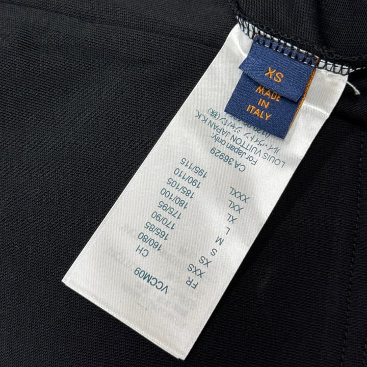 Louis Vuitton Embroidered Logo Oversized T-Shirt – Summer Collection – 26SS in Apricot Colorful LV Lovers