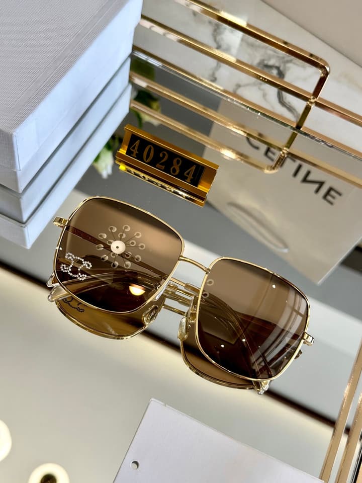 Celine Polarized Acetate Sunglasses