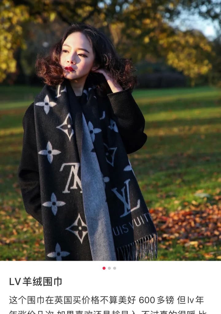Louis Vuitton Reykjavik Cashmere Scarf/Shawl
