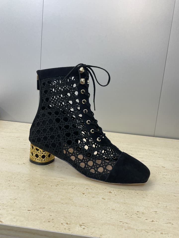 Dior D-Lcon Embroidered Ankle Boots – 2025FW in Black Mesh High Heel (9cm)