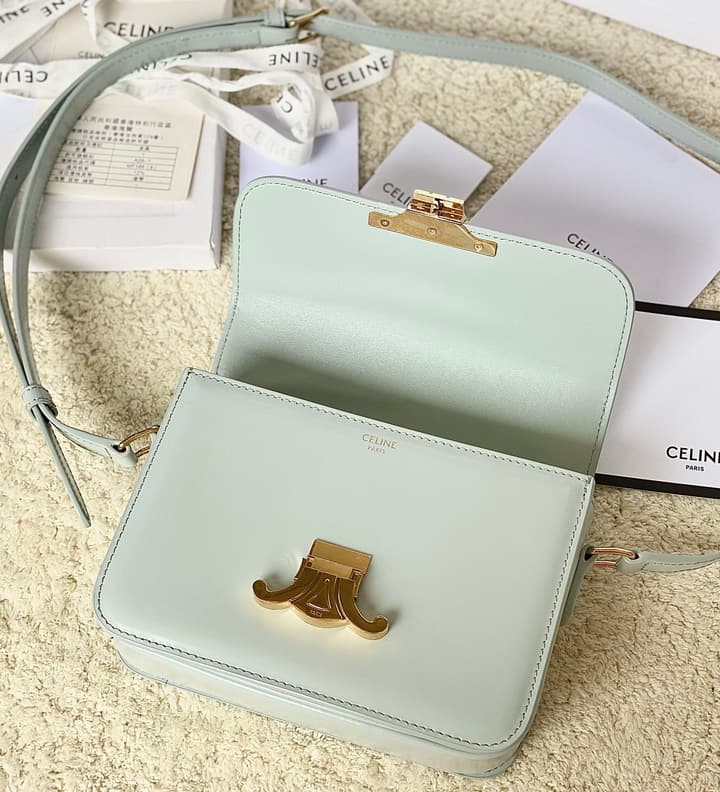 Celine Triomphe Box Calfskin Bag in Burnt Orange