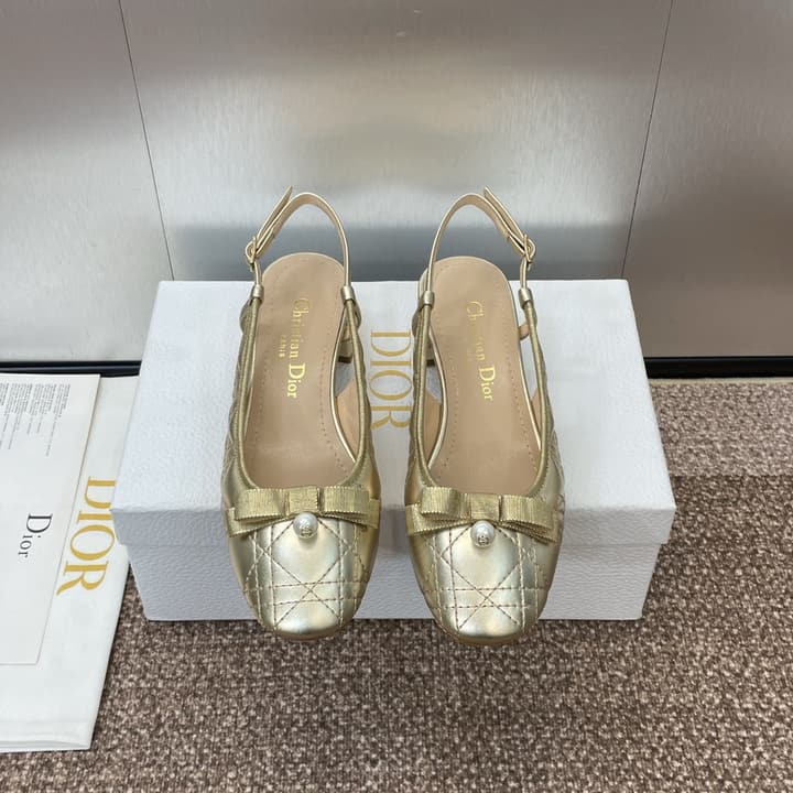 Dior Ballet Cannage Low-Heel Ballerina Flats – 2024 Spring/Summer Collection in Black Patent