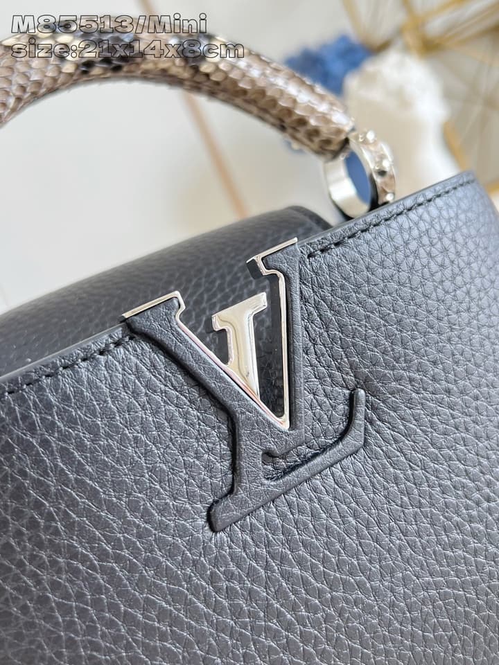 Louis Vuitton Capucines Mini Handbag